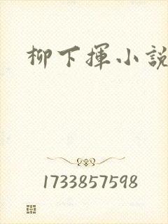 柳下挥小说