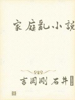 家庭乱小说