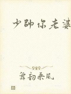 少帅你老婆