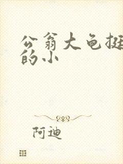 公翁大龟挺进我的小