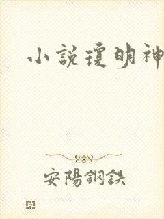 小说琼明神女录