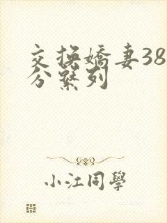 交换娇妻38部分系列