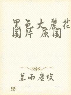 黑色大丽花真实图片 原图