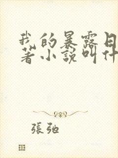 我的暴露日记原著小说叫什么