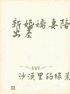 新婚娇妻陪局长出差