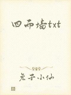 四面墙txt