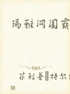 玛雅网图霸天下