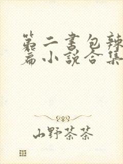 第二书包辣网短篇小说合集