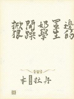 掀开奶罩边躁狠狠躁学生的小文字