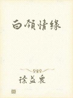 白领情缘