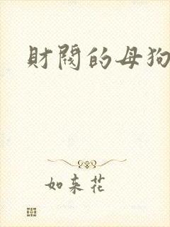 财阀的母狗们