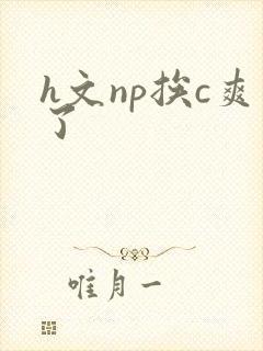 h文np挨c爽了
