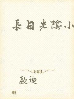 长日光阴小说