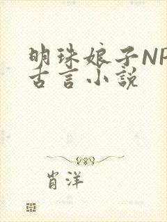 明珠娘子NPC古言小说