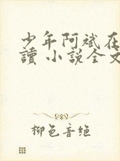 少年阿斌在线阅读 小说全文免费