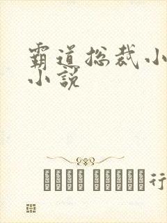 霸道总裁小娇妻小说