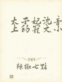 太子妃沈音和皇上的宠文小说