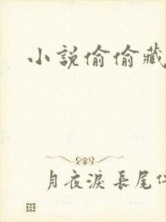 小说偷偷藏不住