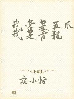 我爹是五爪金龙我是青龙