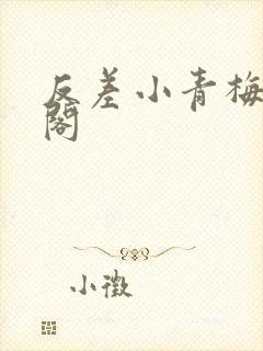 反差小青梅笔趣阁