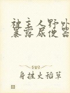 被主人野外调教暴露尿便器