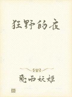 狂野的夜