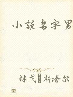 小说名字男生