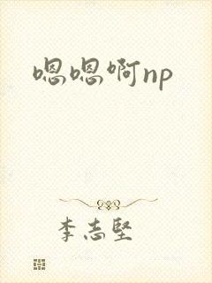 嗯嗯啊np