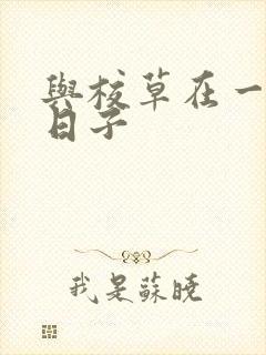 与校草在一起的日子