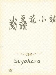 小豆蔻小说全文阅读