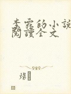 李霖的小说免费阅读全文