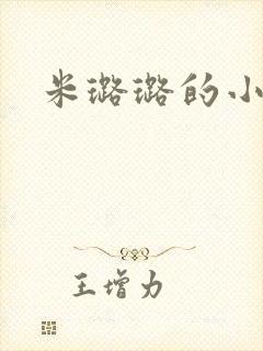 米璐璐的小说