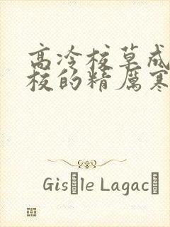 高冷校草成为全校的精厉寒小说