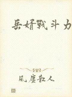 岳婿战斗力封面