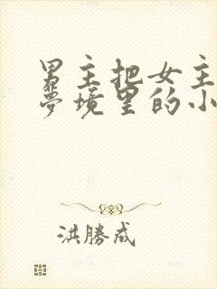 男主把女主拖进梦境里的小说