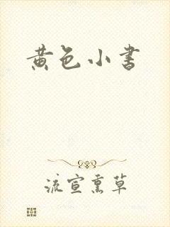 黄色小书
