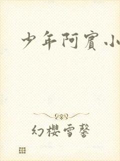 少年阿宾小说