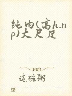 纯肉(高h.np)大尺度