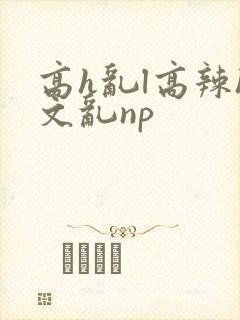 高h乱l高辣h文乱np
