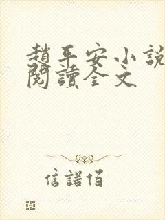 赵平安小说免费阅读全文