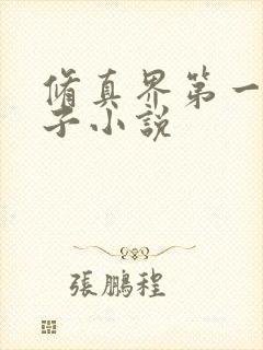 修真界第一病秧子小说