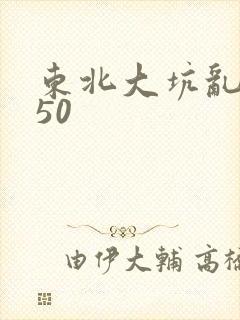 东北大坑乱1—50