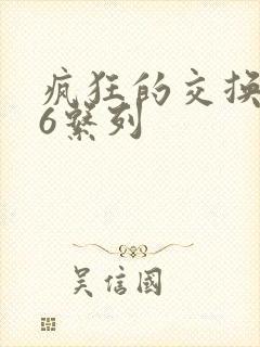 疯狂的交换1一6系列