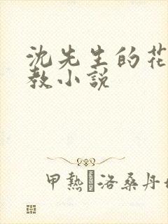 沈先生的花式调教小说