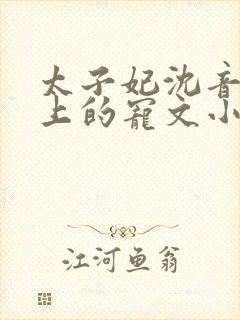 太子妃沈音和皇上的宠文小说