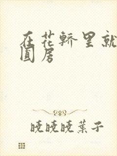 在花轿里就开始圆房