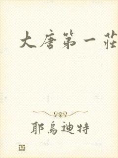 大唐第一庄