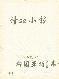 情se小说