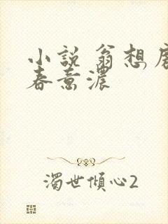 小说 翁想房中春意浓