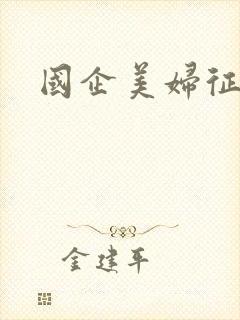 国企美妇征途